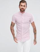 Aces Couture Muscle Fit Shirt In Pink Stripe - Pink
