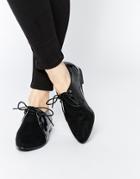 Daisy Street Pointed Toe Lace Up Flat Shoes - Black