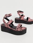 Simmi London Kestral Pink Snake Flatform Sandals - Pink