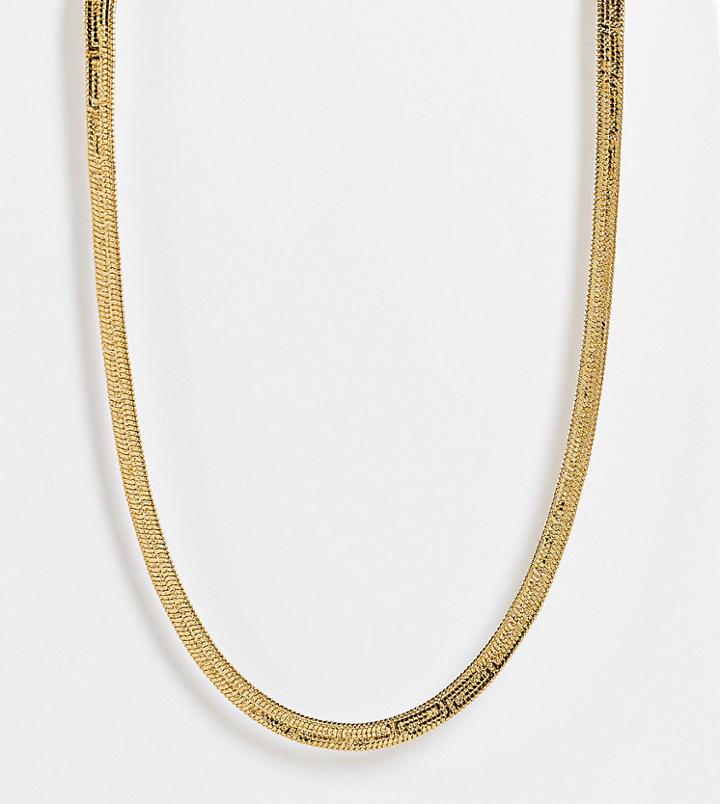 Asos Design 14k Gold Plated Necklace In Snake Chain