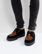 T.u.k Platform Creeper Animal Print Suede Shoes - Black