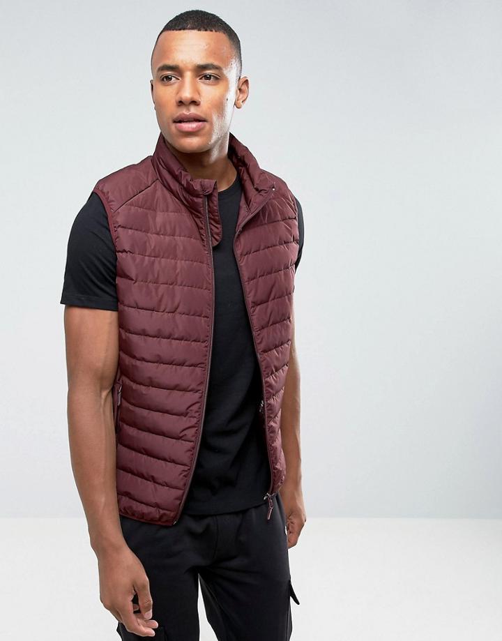 Celio Padded Vest In Burgundy - Red