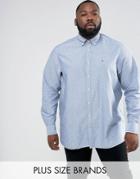 Tommy Hilfiger Plus Oxford Shirt Buttondown Regular Fit In Blue - Blue