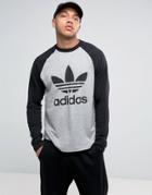 Adidas Originals Trefoil Long Sleeve Raglan T-shirt In Gray Br2021 - White
