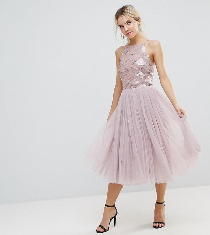 Little Mistress Petite Tulle Dress With Sequin Upper - Beige