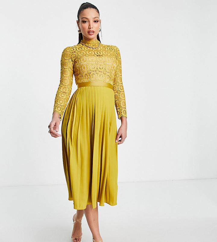 Little Mistress Tall Pleated Dress In Mustard-yellow
