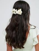 Her Curious Nature Blossom And Pearl Hair Clip - Cream