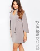Pink Clove Scarf Neck Swing Dress With Flared Sleeve - Gray