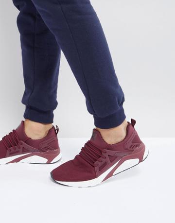 Certified London Knitted Sneakers In Burgundy - Red