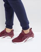 Certified London Knitted Sneakers In Burgundy - Red