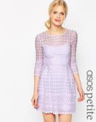 Asos Petite Mesh Skater Dress With Embroidered Border - Lilac