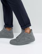 Steve Madden Dodge Hi Top Sneakers In Gray - Gray