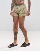 Oiler & Boiler Chevy Swim Short In Khaki - Green