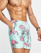 Hollister Flamingo Print Guard Swim Shorts In Mint Green