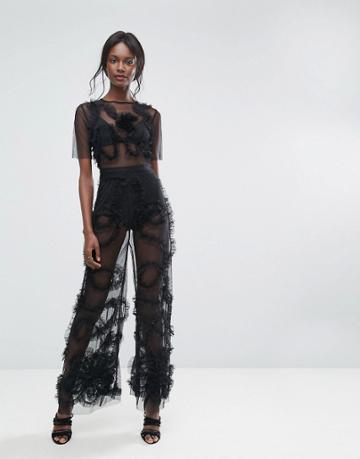 Lace & Beads Sheer Tulle Culotte Jumpsuit - Black