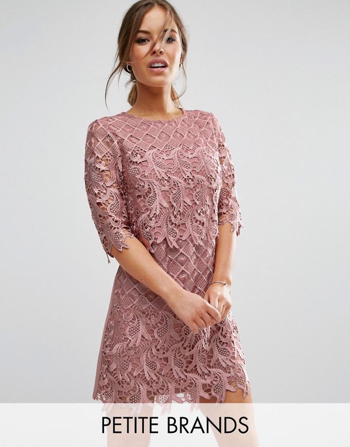 Little Mistress Petite All Over Premium Lace Mini Crochet Pencil Dress