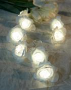 Paperchase Wedding White Flower Lights - Multi