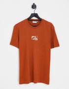 Calvin Klein Graphic Box Logo T-shirt In Rust-brown