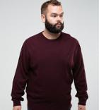 French Connection Plus Crew Sweater