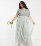 Maya Plus Bridesmaid Short Sleeve Maxi Tulle Dress With Tonal Delicate Sequins In Sage Green