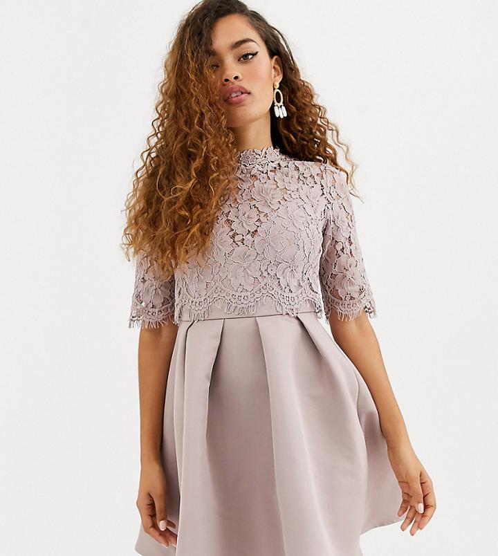 Little Mistress Petite Lace Upper Skater Dress-grey
