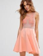 Asos Lace Applique & Mesh Mix Skater Mini Dress - Pink