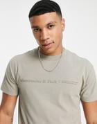 Abercrombie & Fitch Cross Chest Logo Relaxed Fit T-shirt In Green