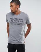 Abercrombie & Fitch Slim Fit T-shirt Print Front And Back Logo In Gray - Gray