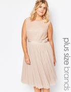 Lovedrobe Embellished Tulle Skirt Midi Dress - Mink