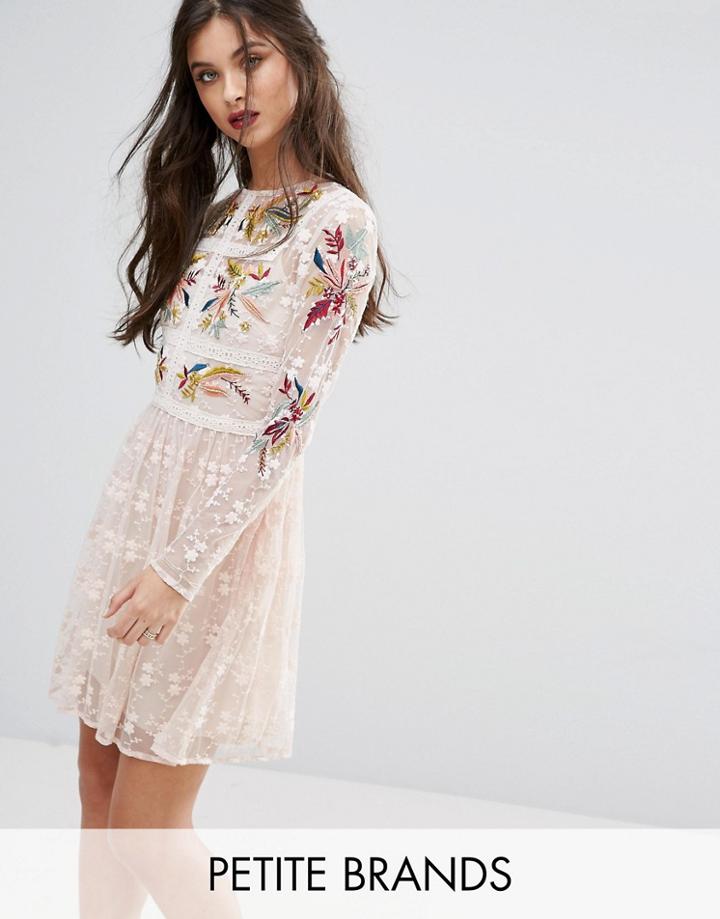 Frock And Frill Petite Premium Embroidered Lace Mini Prom Skater Dress - Multi