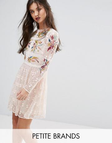 Frock And Frill Petite Premium Embroidered Lace Mini Prom Skater Dress - Multi