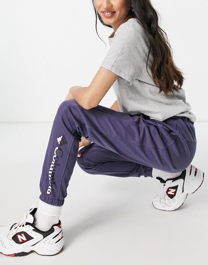 Columbia Logo French Terry Sweatpants In Navy