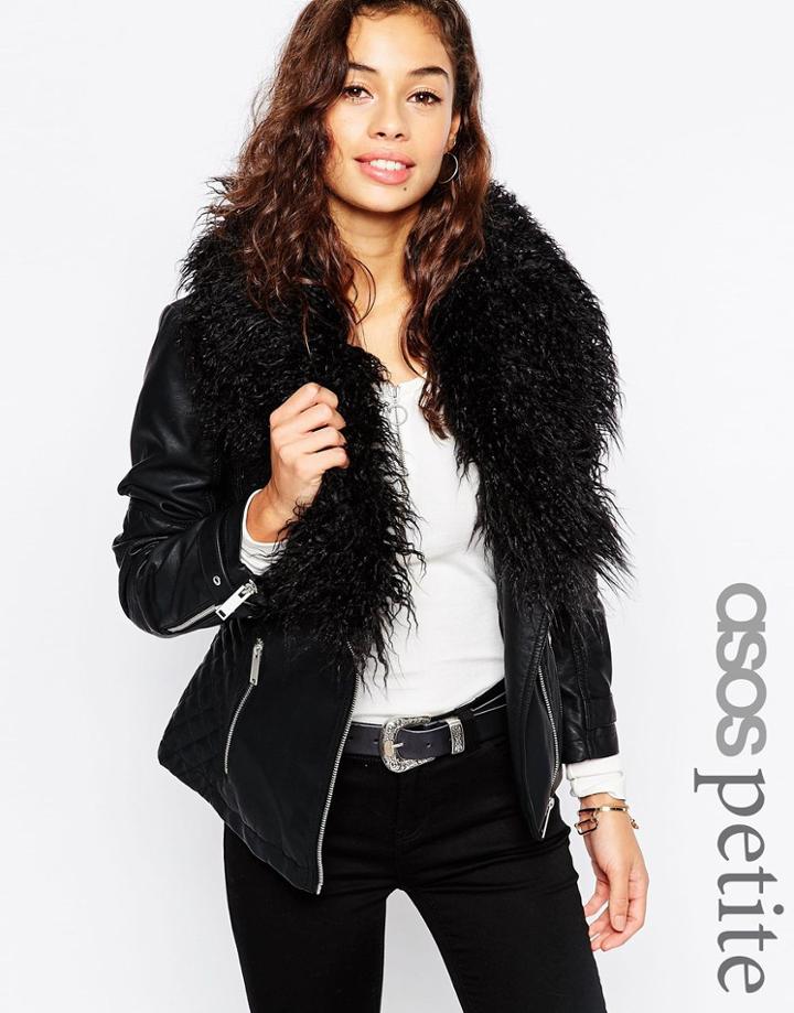 Asos Petite Biker Jacket With Oversized Faux Fur Collar - Black