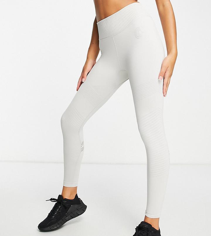 Gympro Apparel Energy Leggings In Light Gray-grey