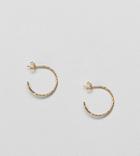 Asos Design Gold Plated Sterling Silver Vintage Style 20mm Diamond-cut Hoop Earrings - Gold