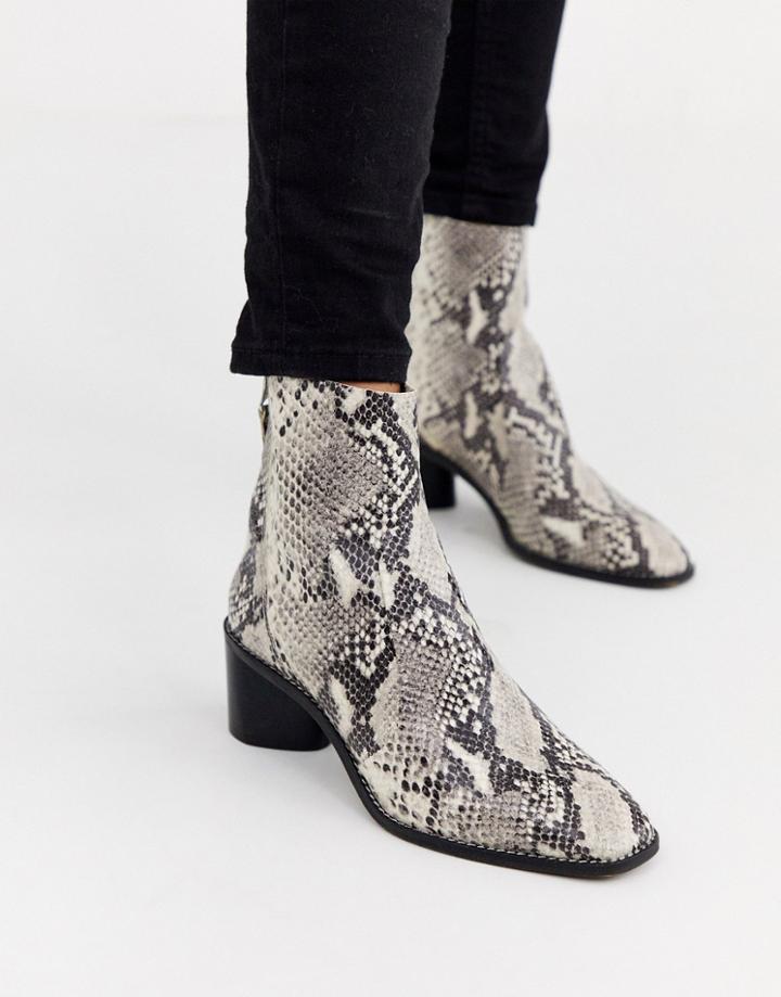 Office Achillies Inlined Leather Kitten Heel Ankle Boot In Snake
