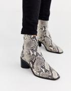 Office Achillies Inlined Leather Kitten Heel Ankle Boot In Snake