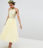 Maya Tall Halterneck Delicate Sequin Detail Tulle Midi Dress-yellow