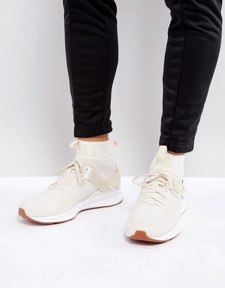 Puma Ignite Evoknit Hypernature Sneakers In Beige 19033702 - Beige