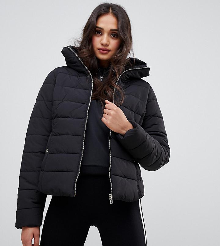 Miss Selfridge Padded Jacket In Black