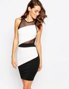 Sistaglam Katrina Contrast Monochrome Dress With Mesh Panel