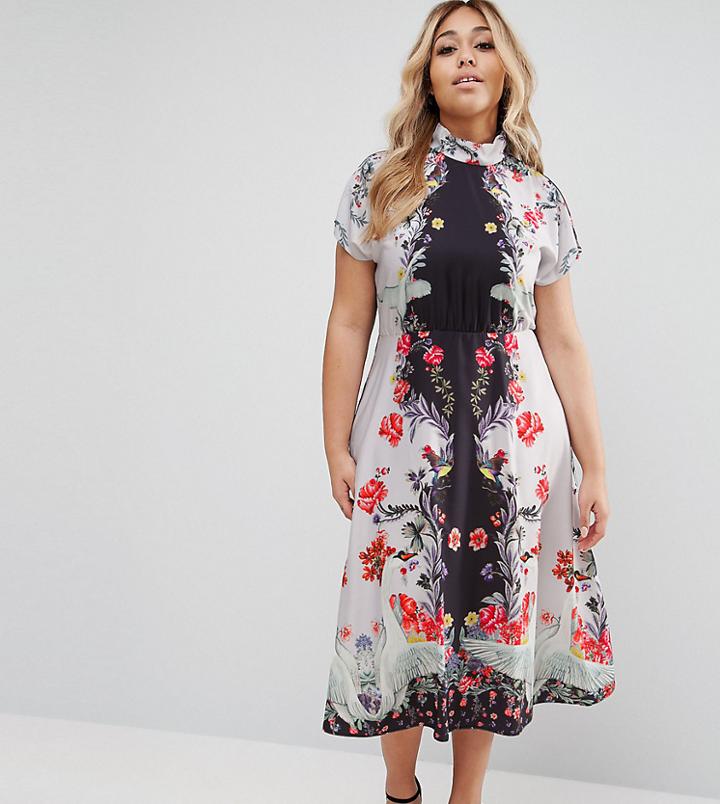 Asos Curve Midi Dress With High Neck And Open Back In Placement Swan Print - Multi