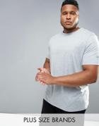 Canterbury Plus T-shirt In Gray E546668-922 - Gray