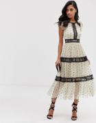 Lace & Beads Midi Dress In Spotty Mesh With Lace Inserts In Cream - Multi