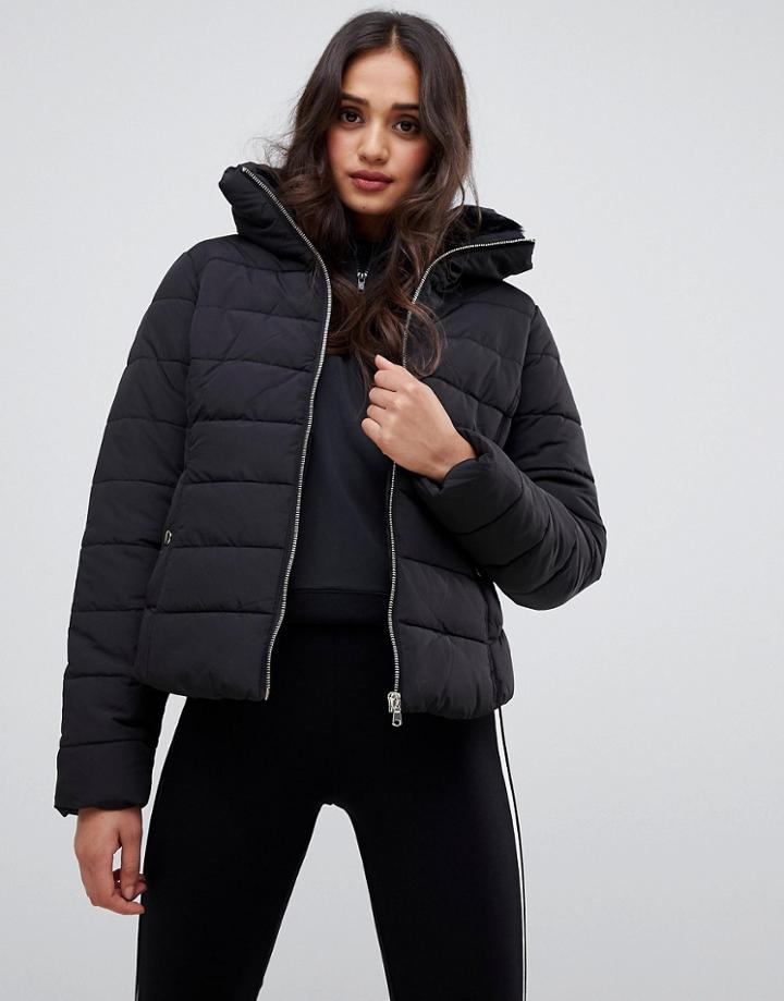 Miss Selfridge Padded Jacket In Black - Black