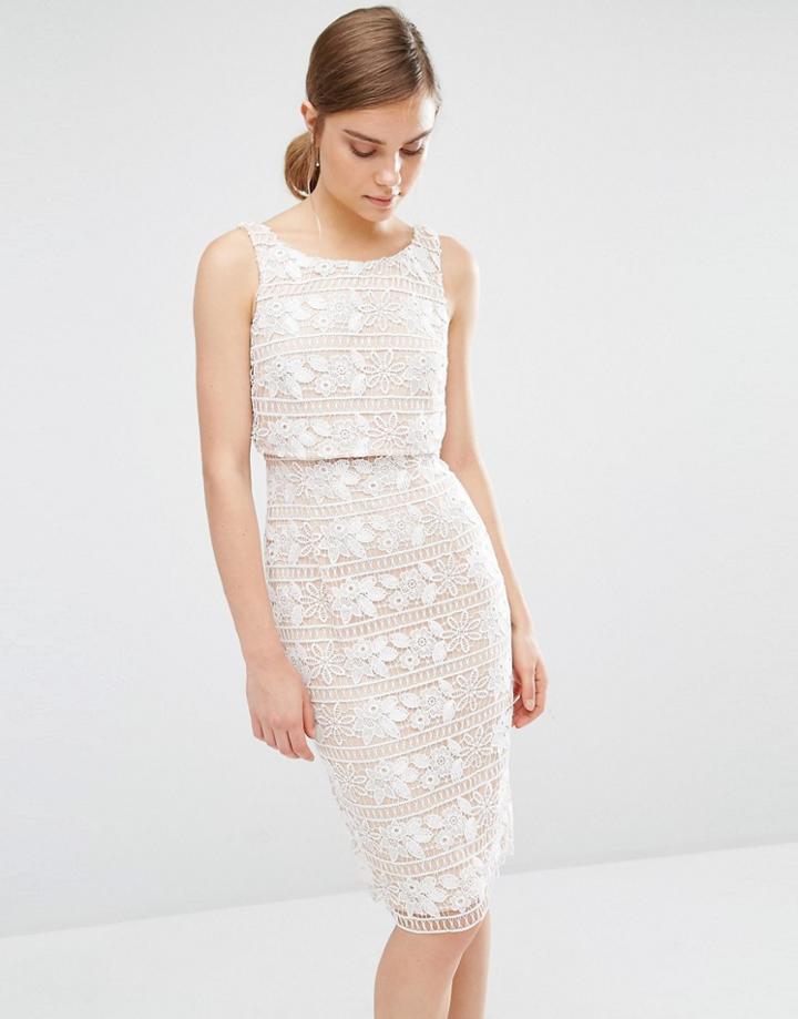 Coast Cerelia Geo Lace Shift Dress - Beige