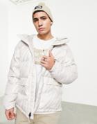 The North Face Himalayan Down Parka Tiger Print Jacket In Gray