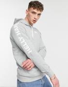 Helly Hansen Active Hoodie In Gray-grey