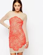 Missguided Lace Mesh Bodycon Dress - Pink