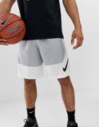 Nike Basketball Shorts In Gray